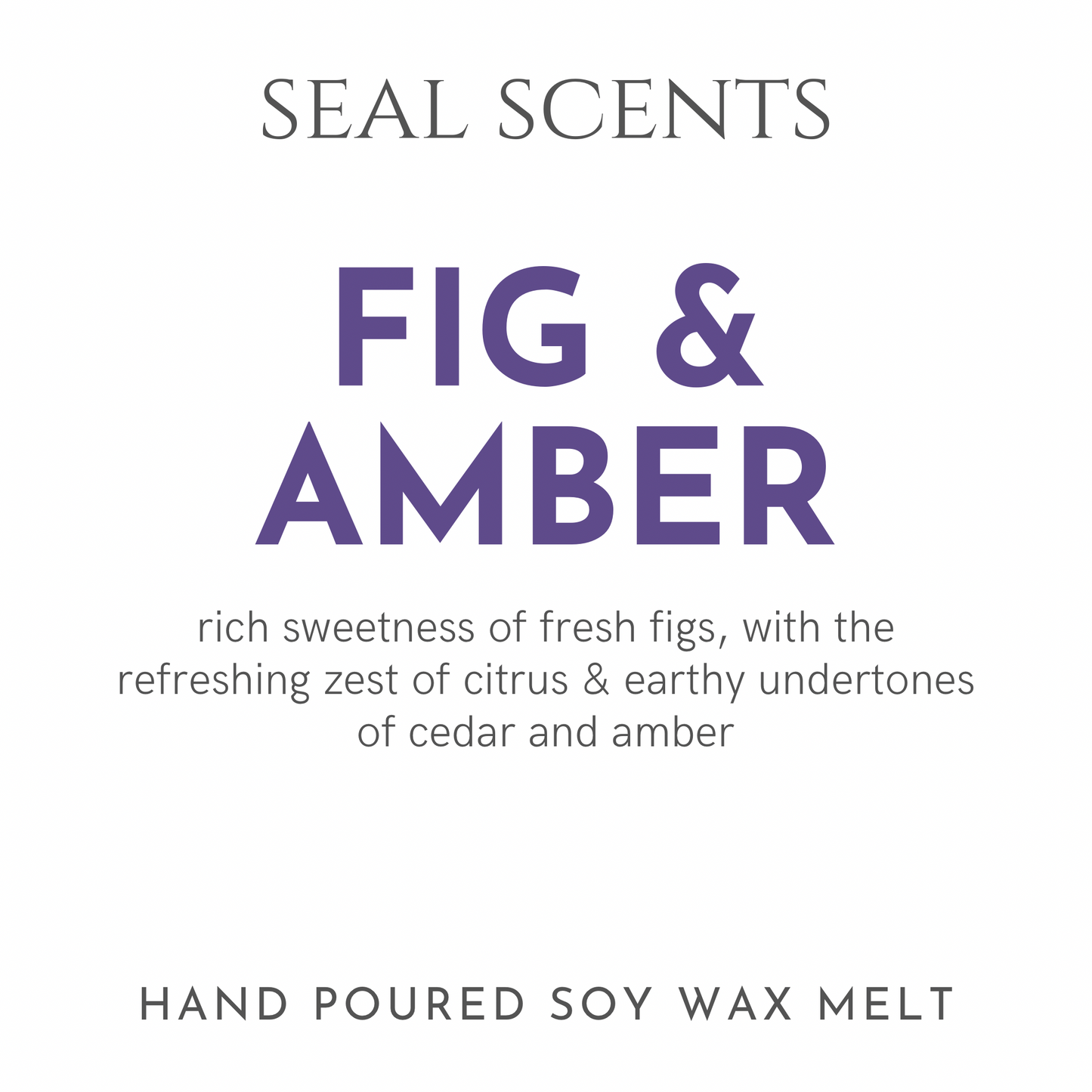 Fig & Amber Wax Melts