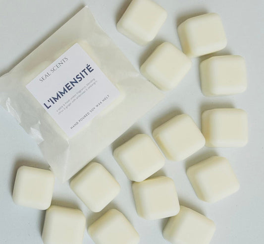 L'Immensité wax Melt