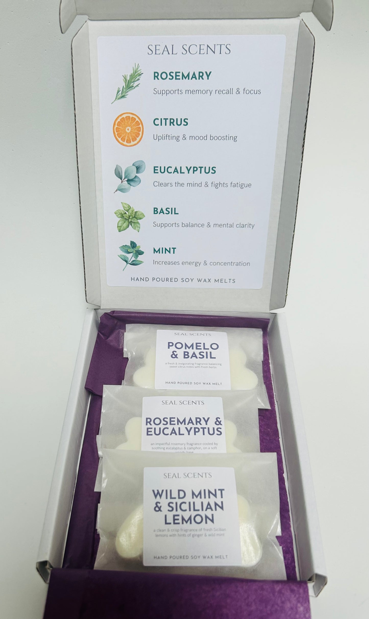 Study & Revision Wax Melts | Focus, Energy, Memory