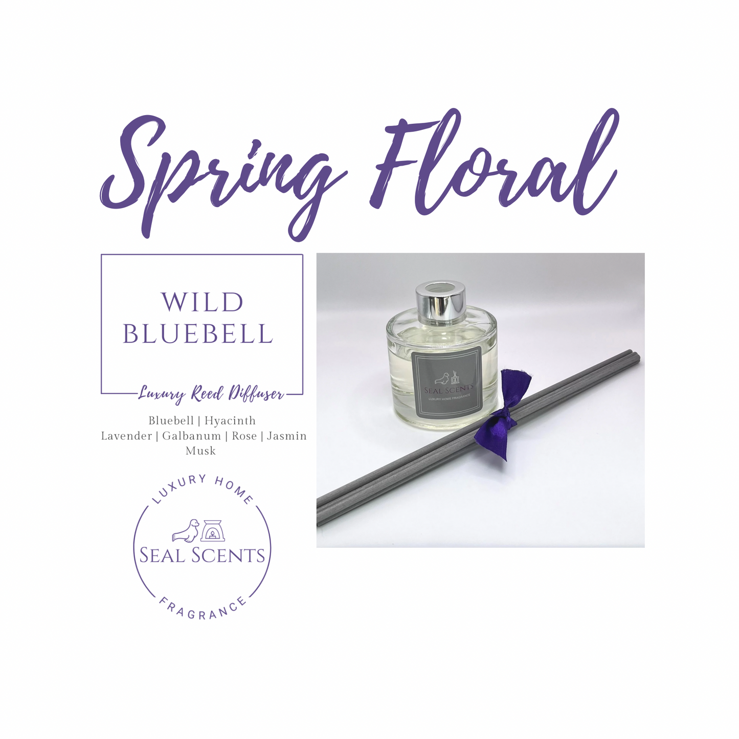 Wild Bluebell