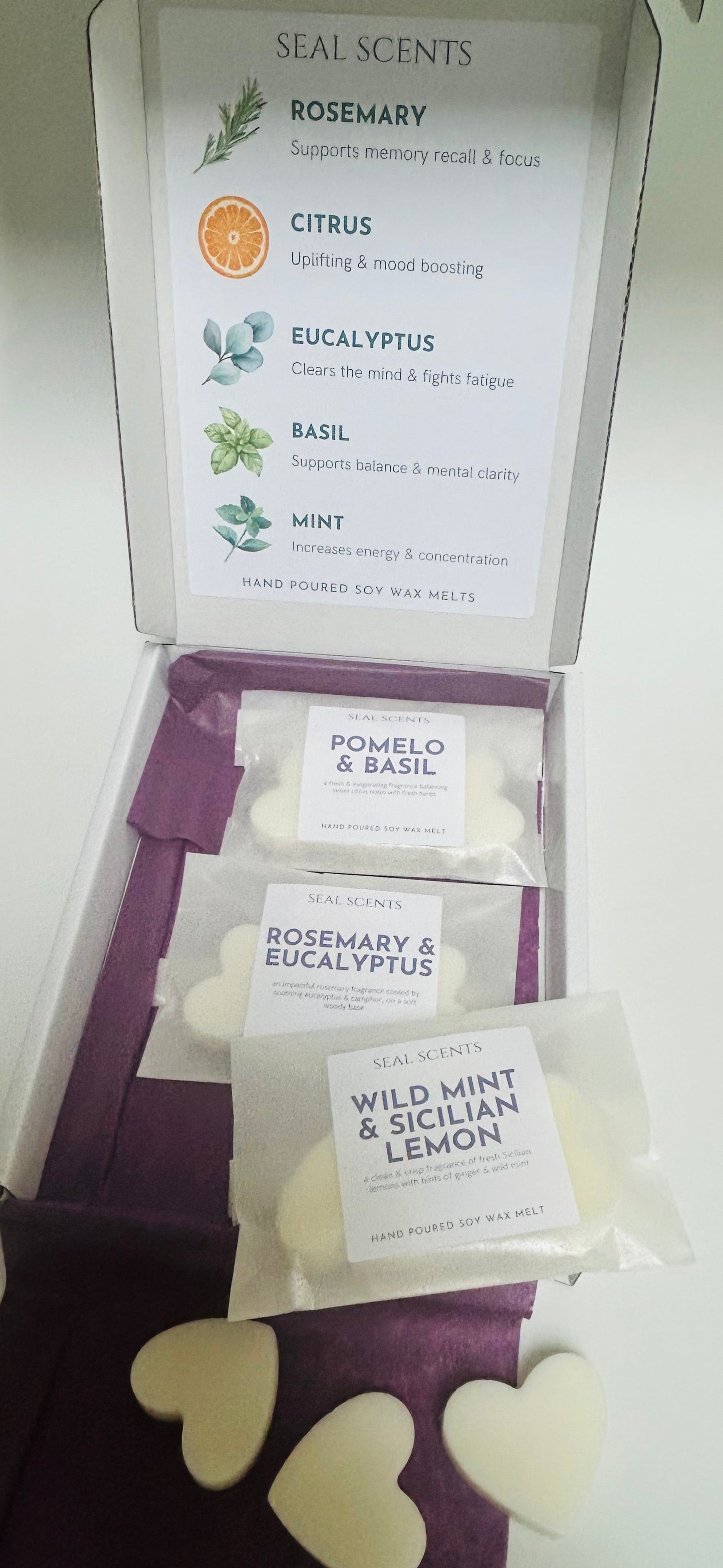 Study & Revision Wax Melts | Focus, Energy, Memory